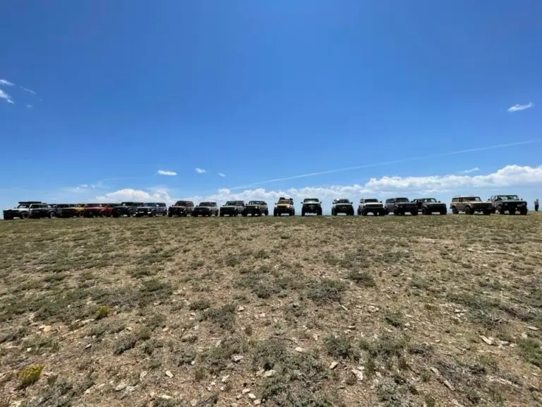 Long line of vehicles parked across an open desert plain